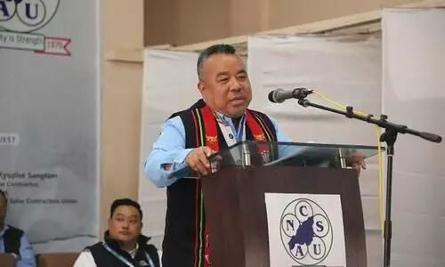 Robert Royte will contest from Hachhek Assembly constituency: Zoramthanga