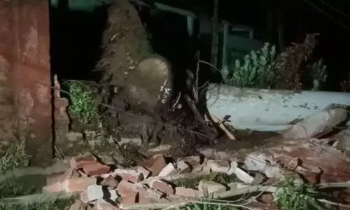 Guwahati: Huge tree smashes into railway quarters in Maligaon