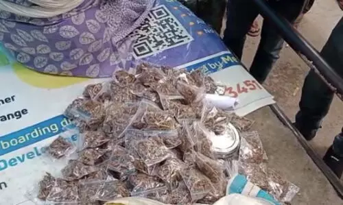 Guwahati: Street vendor found selling cannabis in Zoo Road