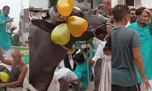 RJD leader falls off buffalo while celebrating party formation day in Bihar