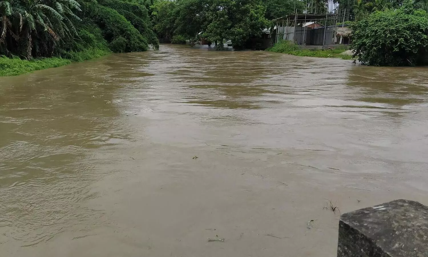 Chirang, Bongaigaon inundate due to rise in water level of Brahmaputra River