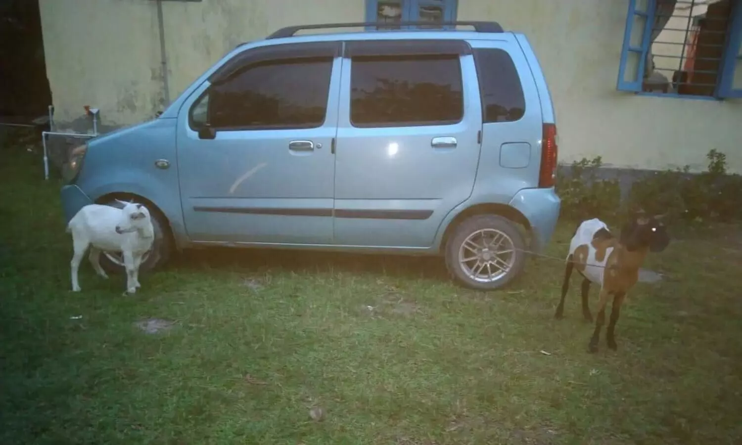 Biswanath Chariali: Youths held by villagers for ‘stealing goats’ turn out to be drug smugglers