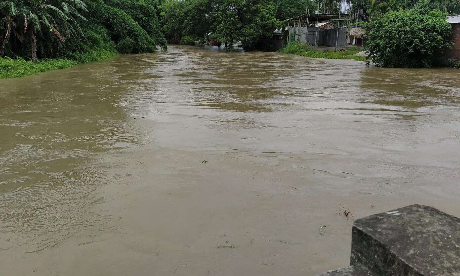 Assam Flood More Than 64000 People Affected In Eight Districts 5950