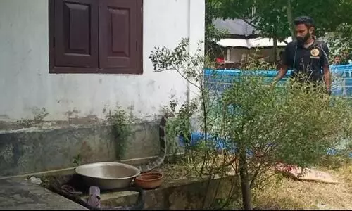 Young wildlife enthusiast rescues 12.5ft King cobra in Cachar