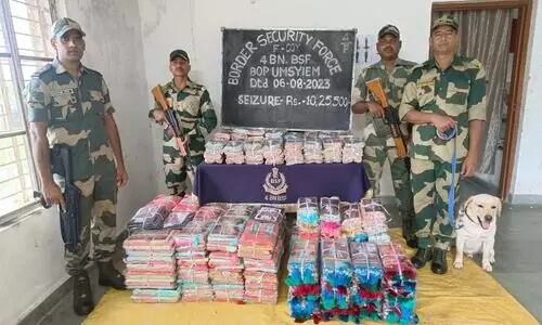 BSF Mlaya seizes betel nuts, clothing items near border area
