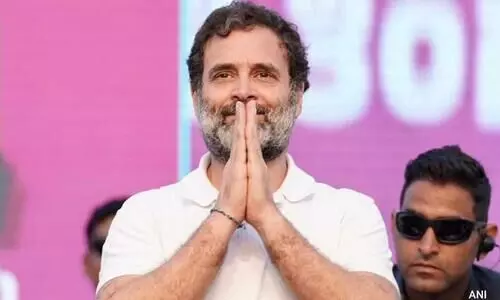 Rahul Gandhi wins Congress bastion Raebareli