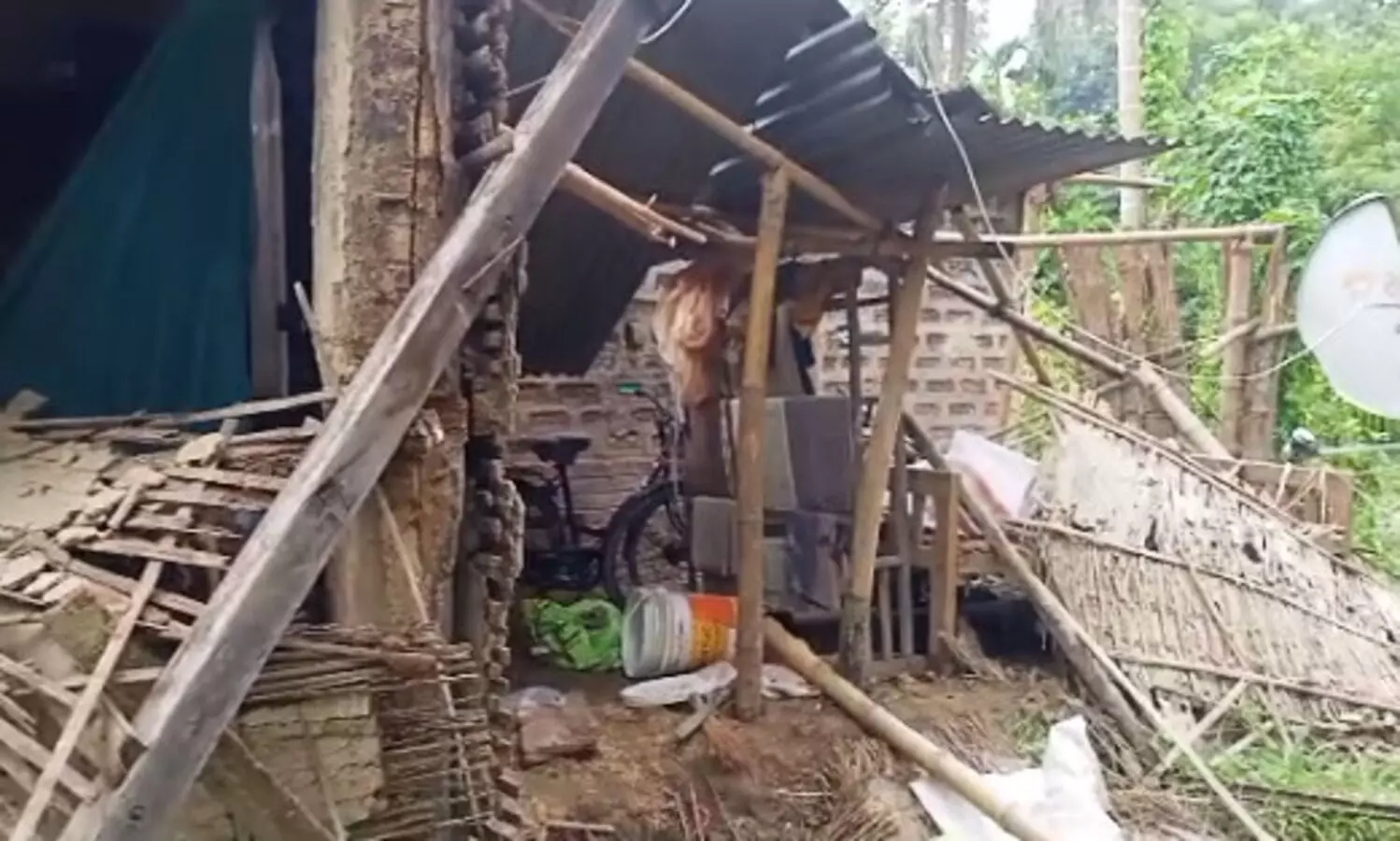 Elephant herd destroys houses, crops in Biswanath Chariali