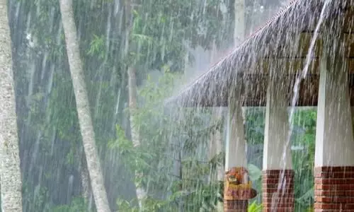 Assam: Rain, hailstorm hits tea industry in Barak Valley