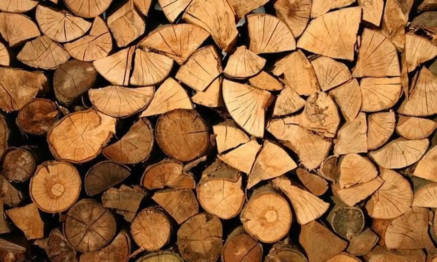 Forest officials seize vehicle laden with illegal timber in Assams Kheroni