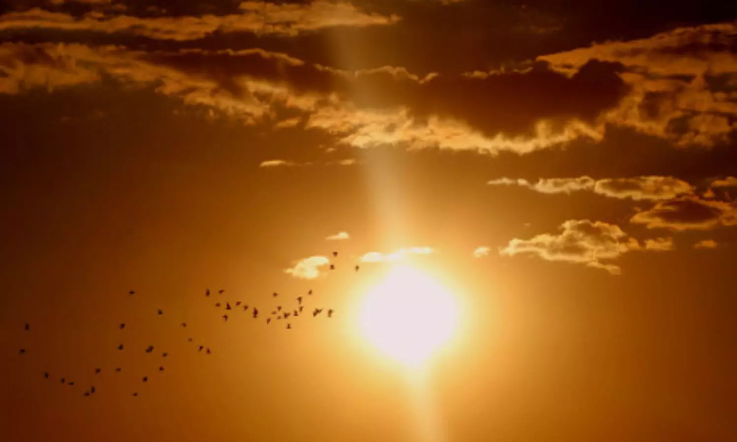 Assam: One dies in sweltering heat in Nagaon