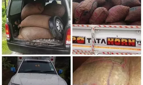 Assam: Over 8000 Burmese supari seized in Hailakandi, 6 held