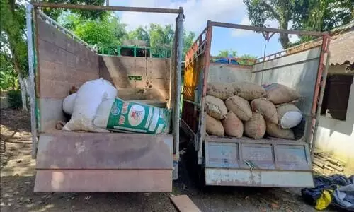 Assam: 36 sacks of Burmese supari seized in Hailakandi