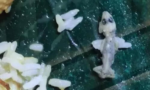 Unappetizing Surprise: Diner finds lifeless lizard in rice at Guwahati hotel