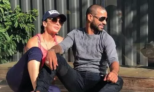 Shikhar Dhawan granted divorce on grounds of cruelty by wife