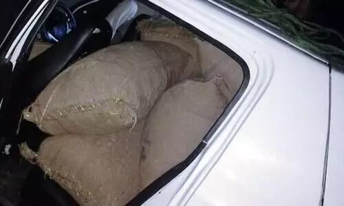 Assam: 1320 kgs of illegal Burmese betel nut seized in Hailakandi