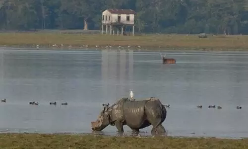 10 years on, encroachments persist in Kaziranga despite HC eviction orders