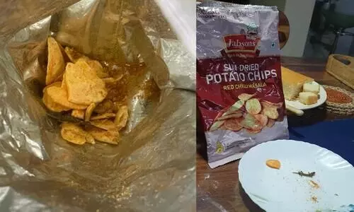Non-Veg chips alert: Dead lizard discovered inside potato chips packet in Guwahati