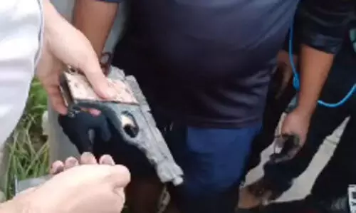Guwahati murder case: Pistol used in firing recovered