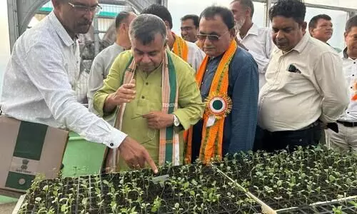 Israeli tech in use to enhance vegetable production: Tripura Agri min