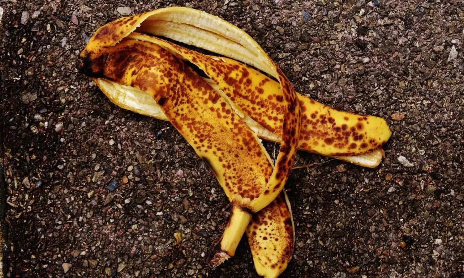 BN College Associate Professor innovates water purification technology using banana peels