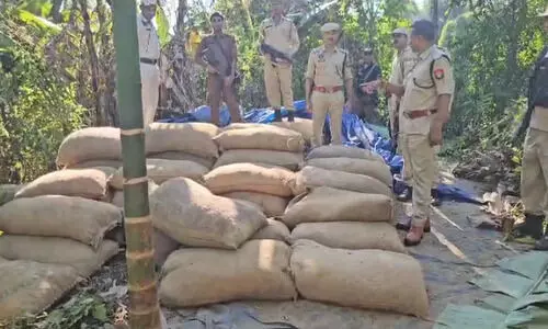 20,000 kgs of Burmese Areca nuts seized from Assam-Mizoram border in Cachar
