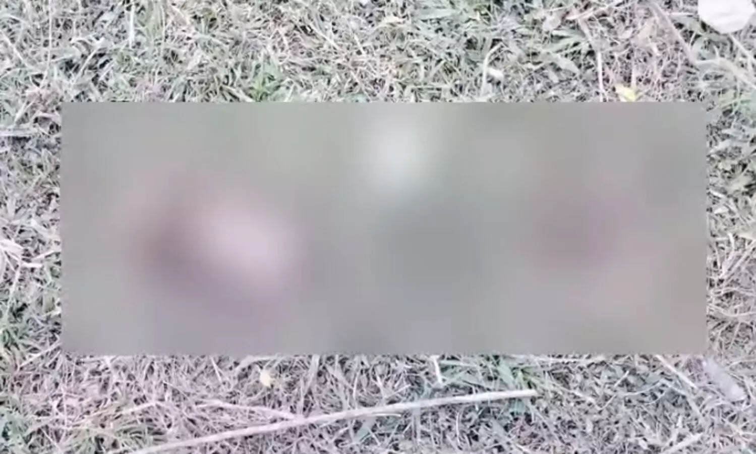 Assam: Dead body of newly born baby recovered near National Highway 15