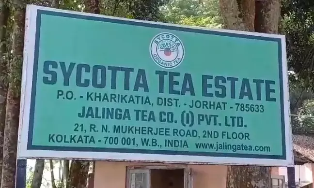 Jorhat: Tension escalates in Mariani as tea estate director flees without paying workers Jorhat: Tension escalates in Mariani as tea estate director flees without paying workers