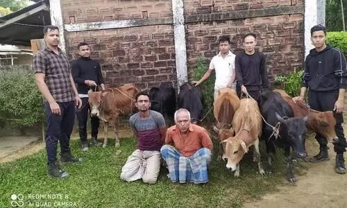 Assam: Two cattle smugglers arrested in Karimganj