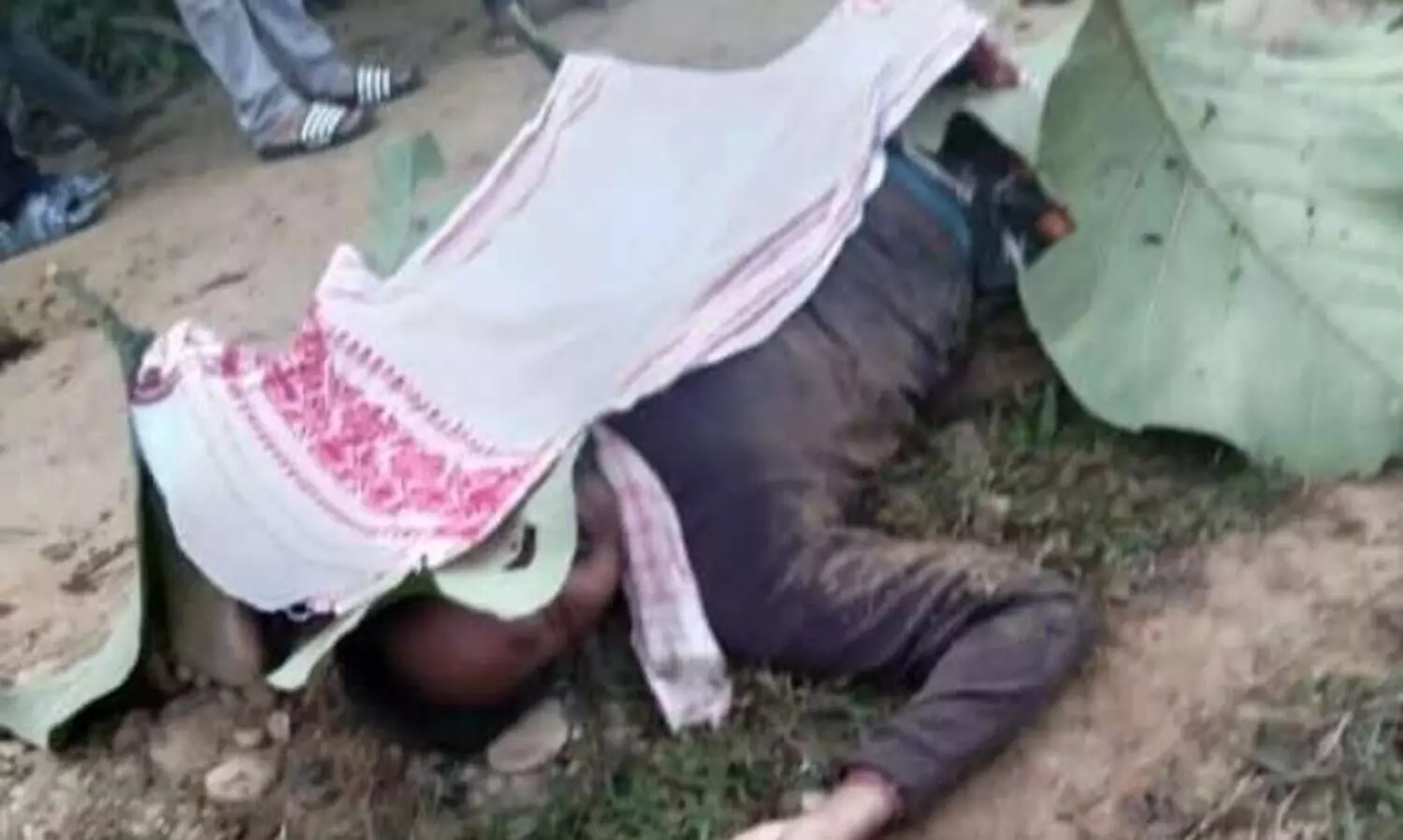 Man killed in elephant attack in Goalpara