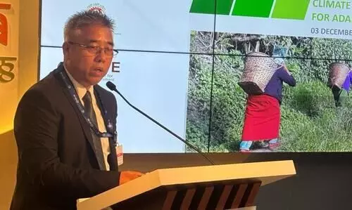 Manipur: Director Dr T Brajakumar attends COP 28 in Dubai
