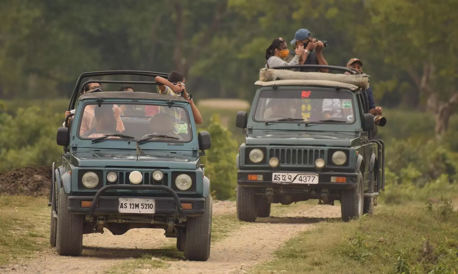 Manas National Park collects Rs 23 lakh revenue in 2 months