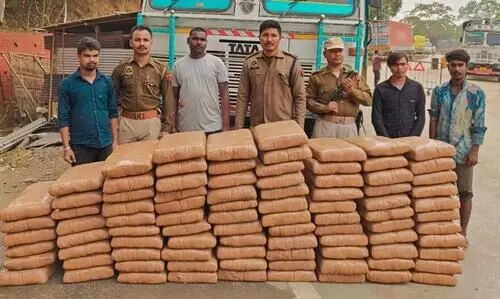 Assam: 637 Kg cannabis seized from goods carrying truck in Karimganj