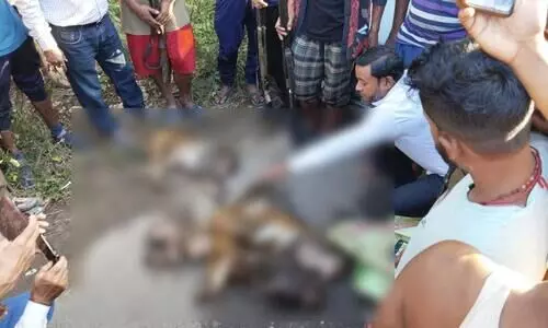 Assam: Six poachers from Mizoram arrested in Hailakandi