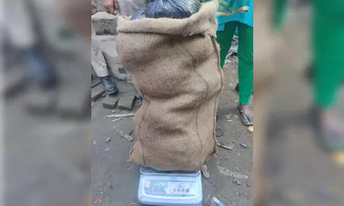 11 kg of suspected marijuana seized from residence in Guwahati; 2 held