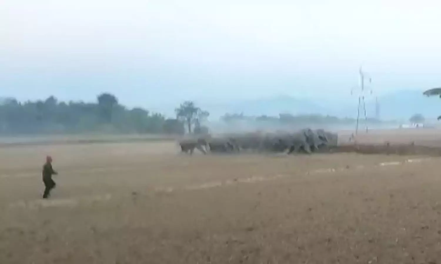 Assam: Wild tuskers create ruckus in Sonitpur, two injured