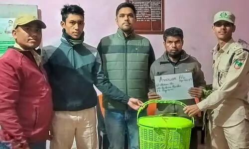 Wildlife smuggler arrested with rare Tokay gecko in Dhubri