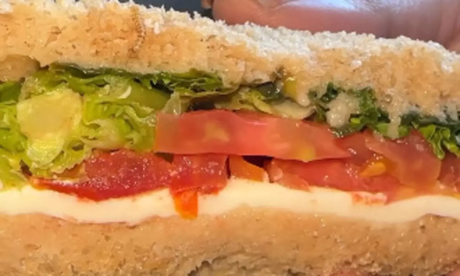 Passenger finds live worm in sandwich served on Indigo flight   