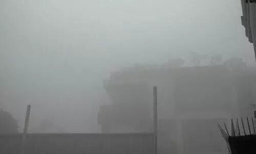Dense fog covers Delhi; flights, trains delayed