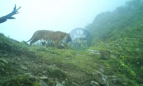 Sikkim’s Wildlife Sightings create National and World Record