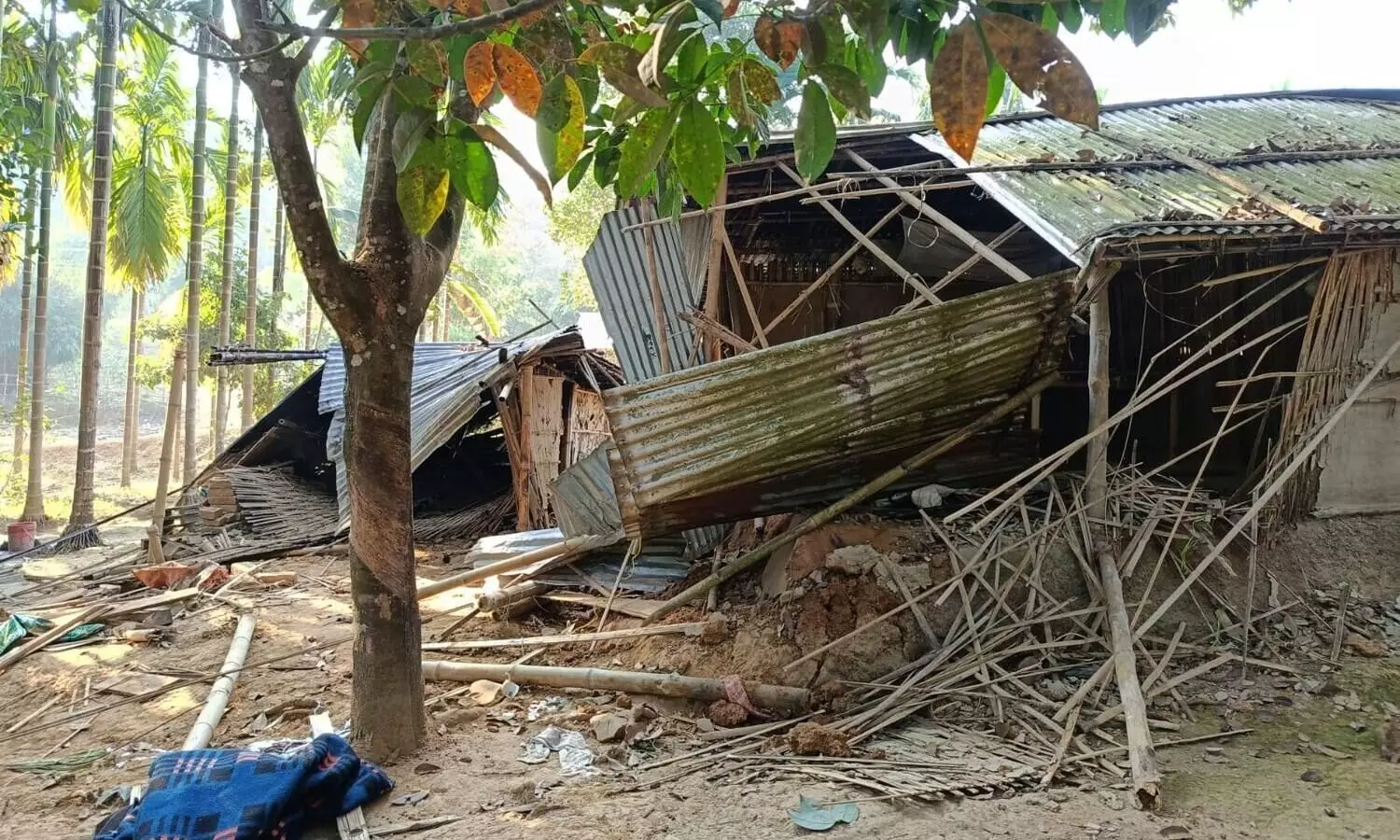 Goalpara: Man trampled to death by wild tuskers; several houses destroyed