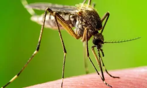 Dengue outbreak in Manipur: Health Minister calls for collective action