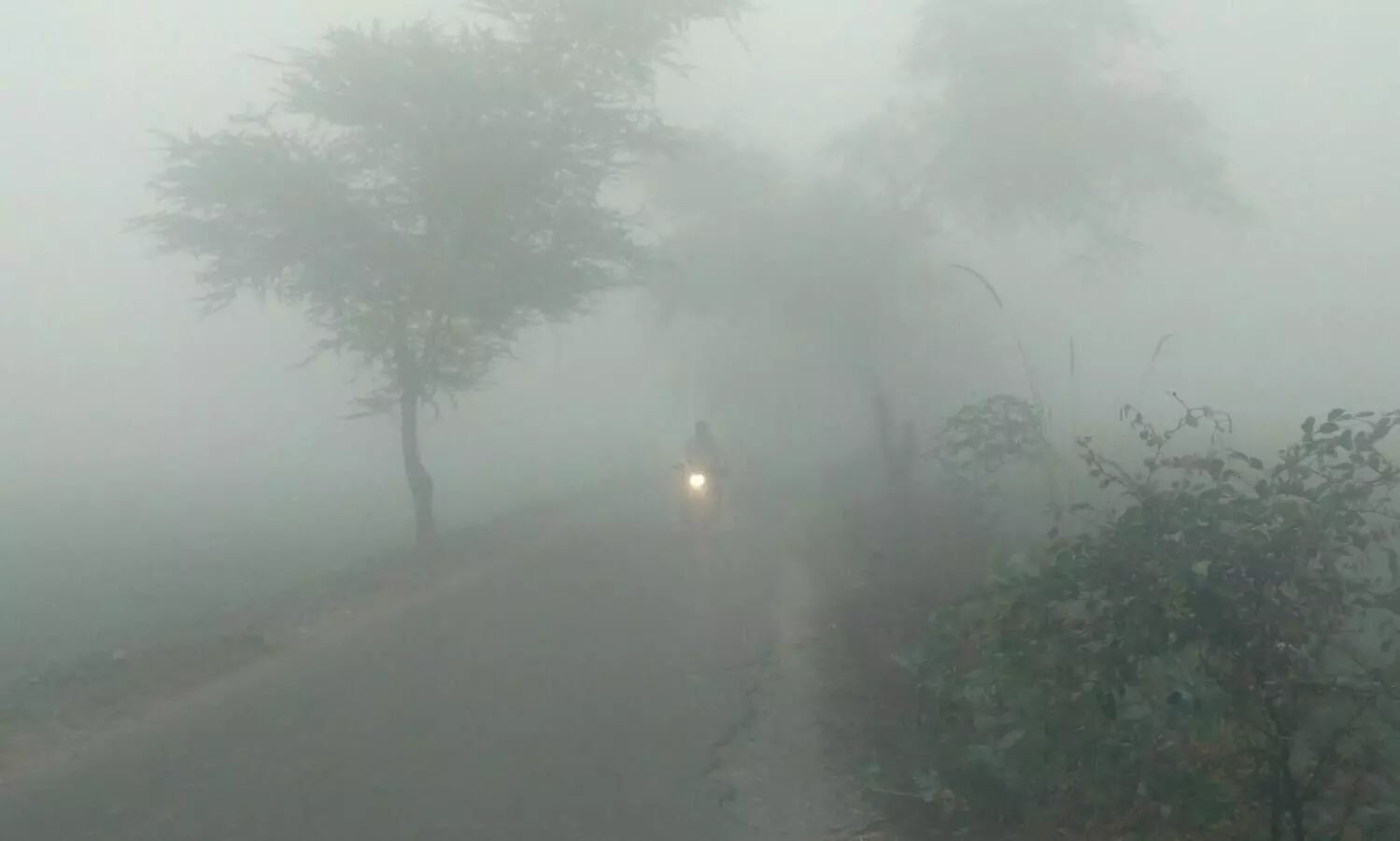 Assam likely to wake up to foggy mornings till Magh Bihu