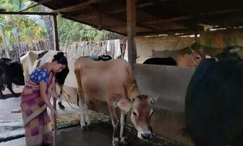 Cattle breeders from Assam invited to participate in Republic Day parade