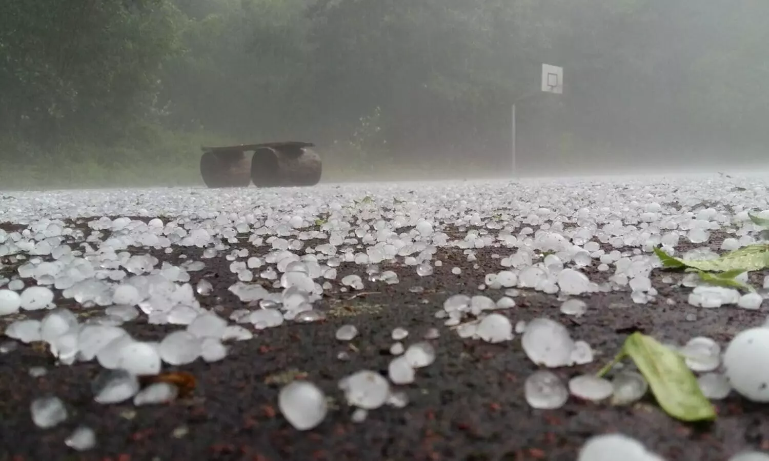 Hailstorm likely in several districts of Assam on Jan 17