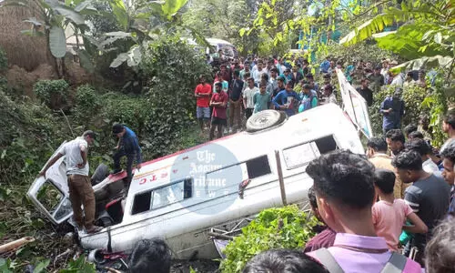 Assam: Bus carrying picnic party collides with car; 24 injured