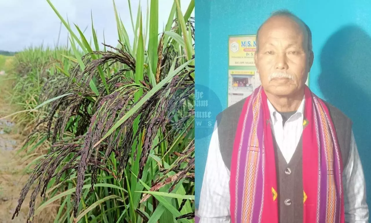 Renowned black rice farmer Upendra Rabha honoured with Assam Gaurav Award Renowned black rice farmer Upendra Rabha honoured with Assam Gaurav Award