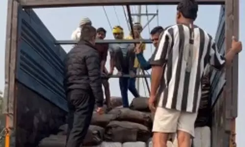 Assam: Marijuana worth Rs 10 cr seized in Guwahati, 2 held