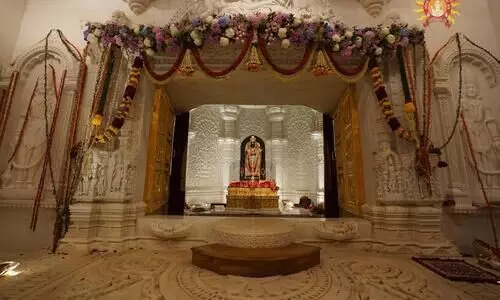 “Hanuman ji darshan karne aye hai, Temple trust after monkey enters sanctum sanctorum