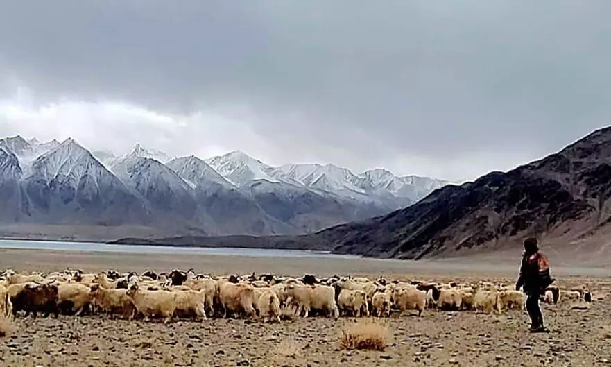 Ladakh shepherds brave standoff with Chinese soldiers goes viral Ladakh shepherds brave standoff with Chinese soldiers goes viral