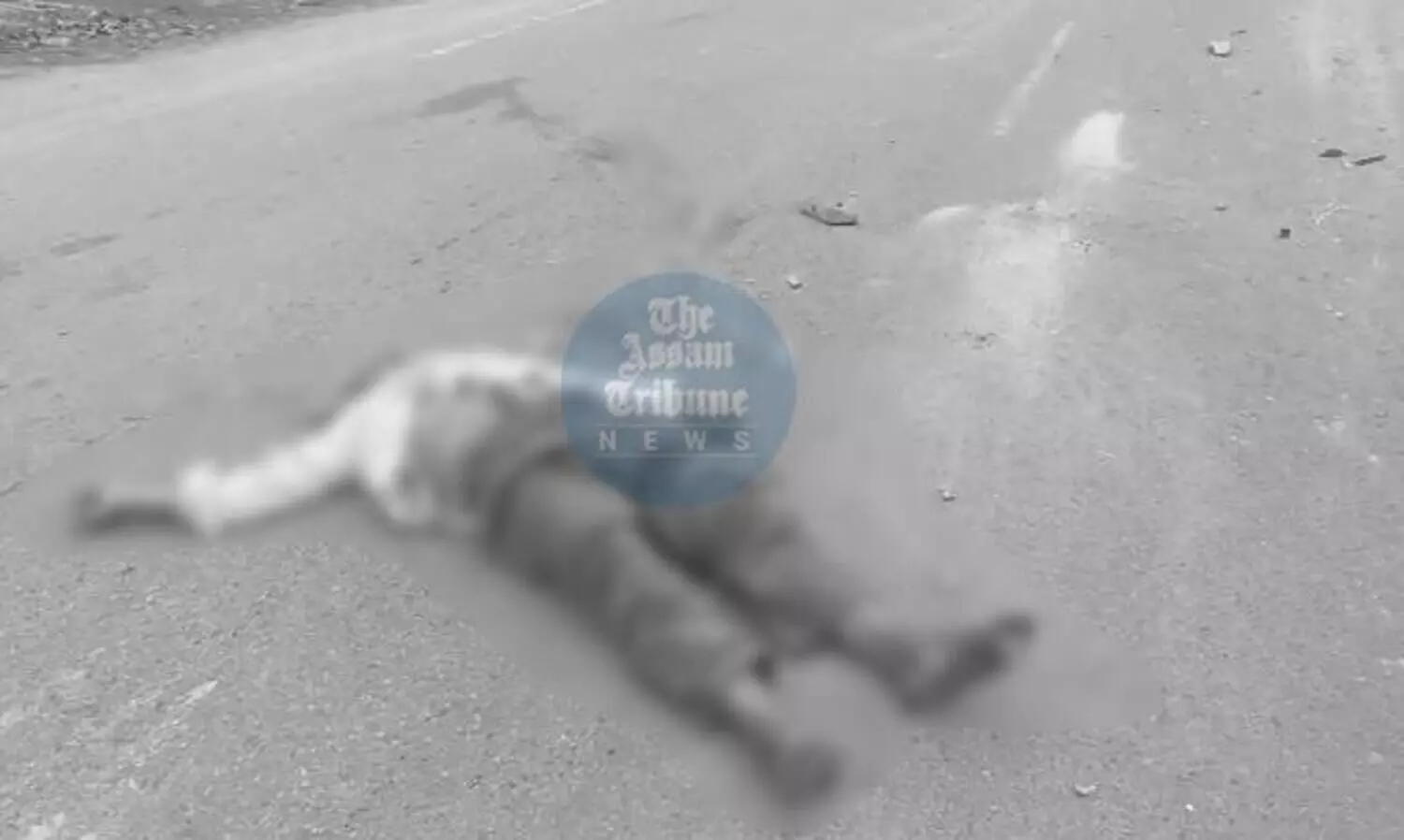 Assam: Road mishap kills one in Barpeta